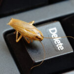 A German Cockroach sits on the "Delete" key of a black computer keyboard, hinting at a possible infestation.