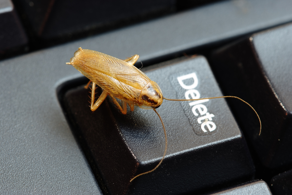 Featured image for Effective Strategies for Managing the German Cockroach Infestation
