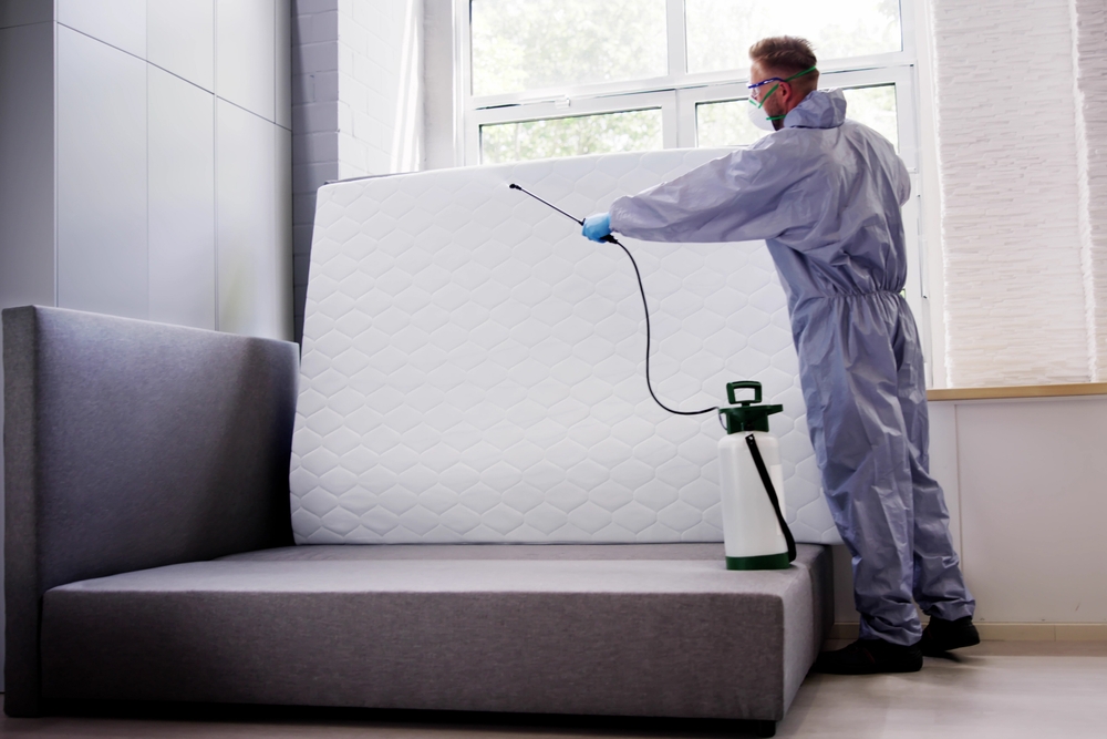 A person in protective gear and gloves uses a spray canister to disinfect a mattress propped against a gray couch near a window, following expert Bed Bug Treatments for a cleaner, bug-free home.