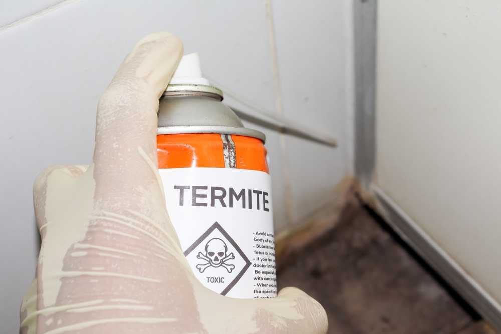 Featured image for How to Use Termite Spray for Effective Control