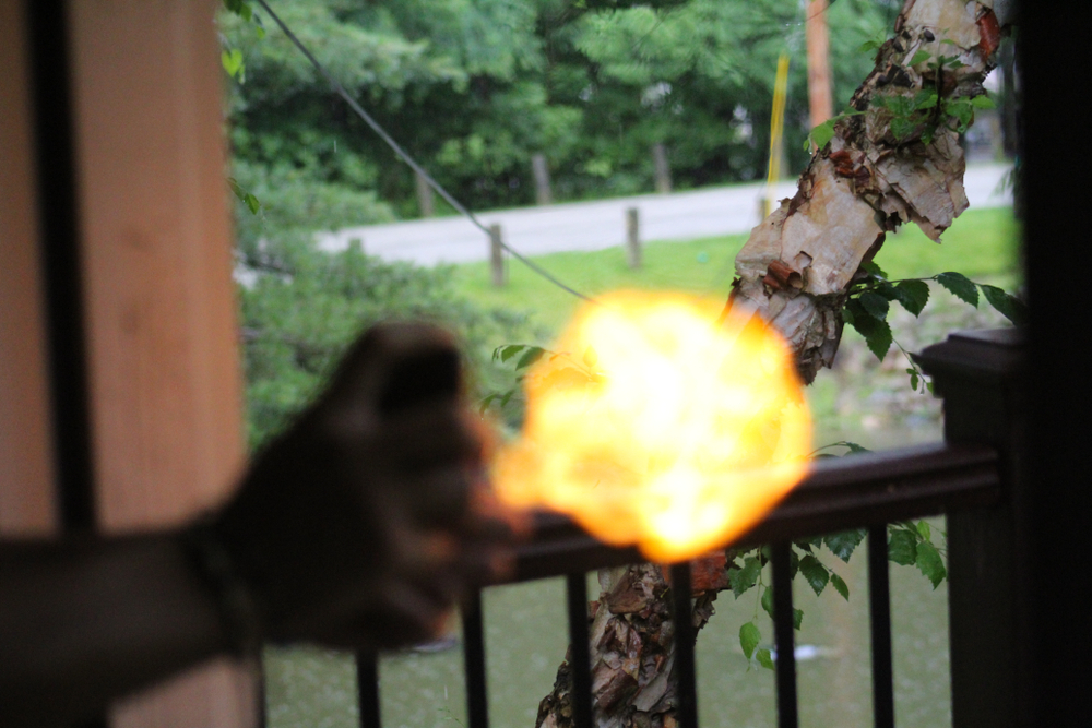 Featured image for How to Get Rid of Bees Humanely: Safe Removal Tips and Techniques