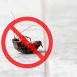 A dead cockroach lying on its back on a tiled floor with a red prohibition sign over it, symbolizing pest control to eliminate infestations and prevent roaches in your home.