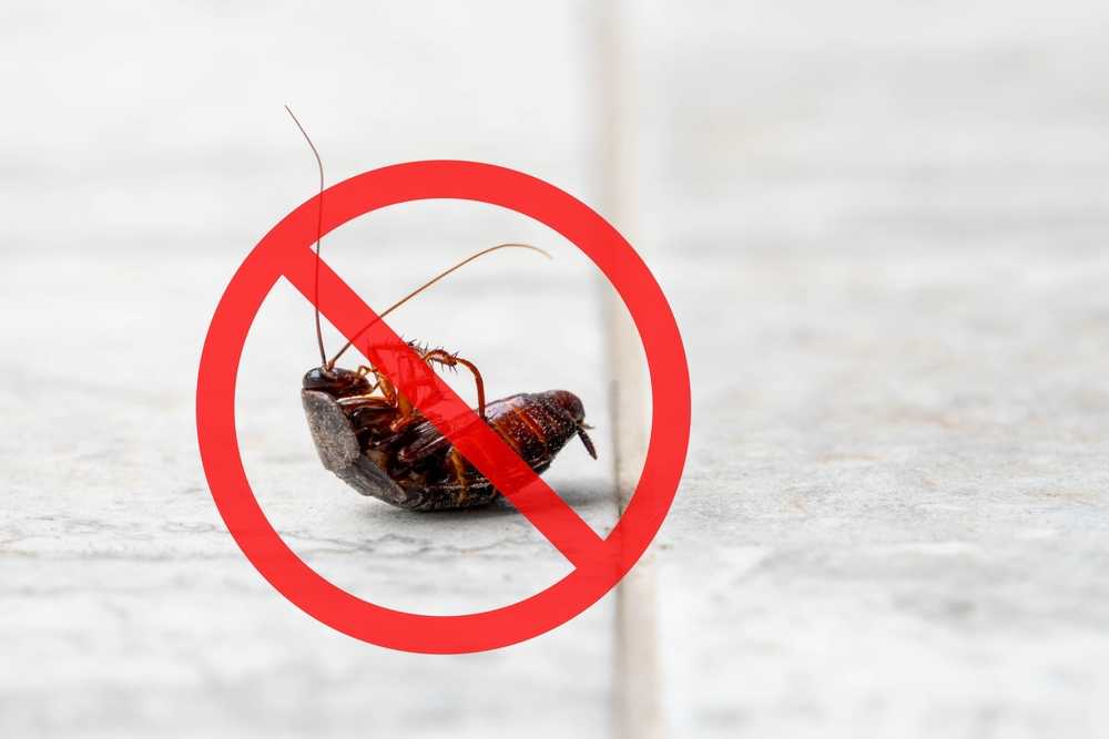 A dead cockroach lying on its back on a tiled floor with a red prohibition sign over it, symbolizing pest control to eliminate infestations and prevent roaches in your home.