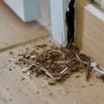 Wooden door frame with visible damage and crumbling wood at the base, likely caused by wood termites. Debris and wood dust on a light-colored floor suggest termite identification and highlight the need for termite prevention measures.