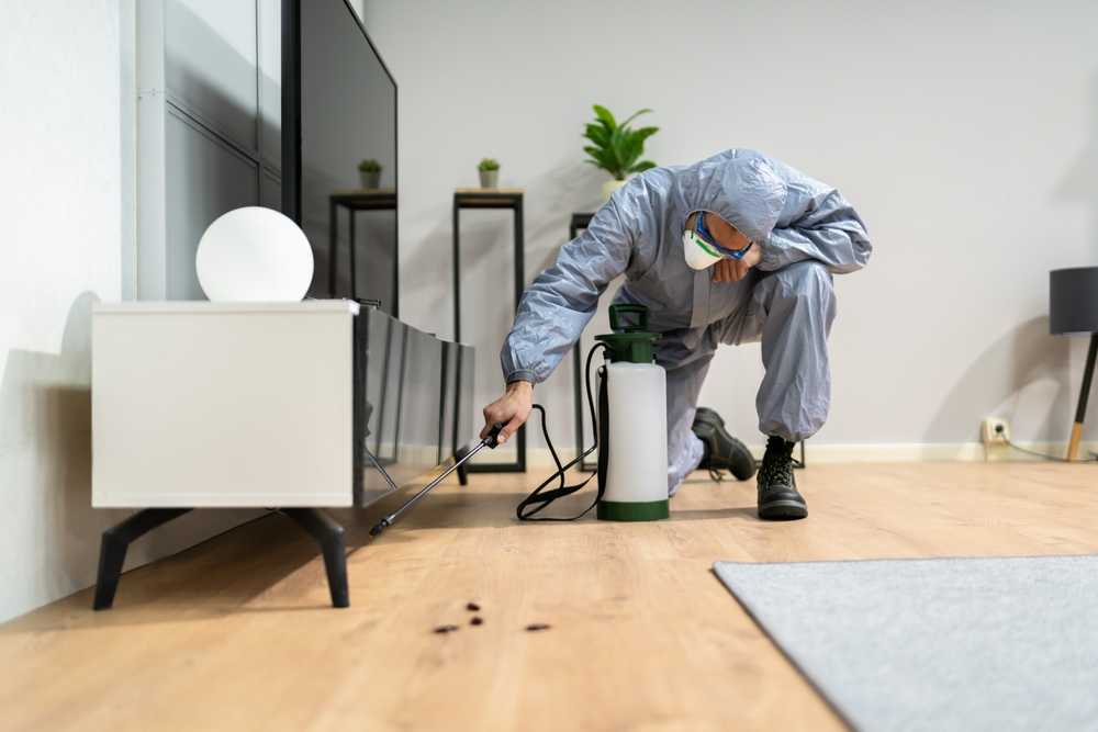 A person wearing protective coveralls, gloves, and a mask uses a pesticide sprayer to treat the floor near a modern TV stand, providing peace of mind and home protection in a residential living room.
