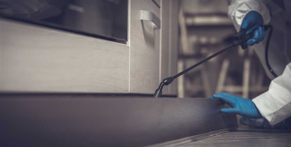 Featured image for How to Get Rid of Ants: Easy, Effective Pest Control Tips