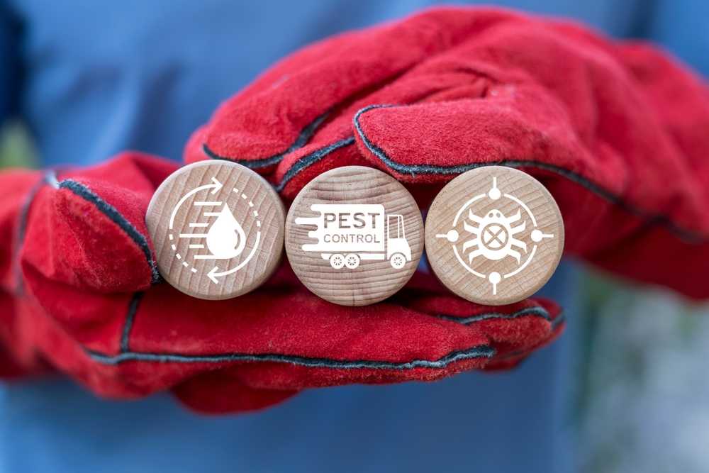 Featured image for How to Get Rid of Spiders: Safe, Effective Control Tips